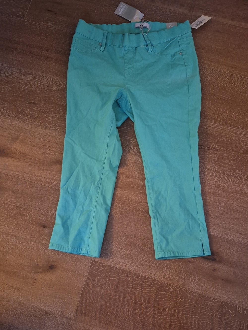 YMI Teal Stretchy Capris